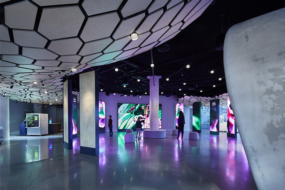 美国西雅图 亚马逊总部Understory展厅 案例实拍 - 展示酷